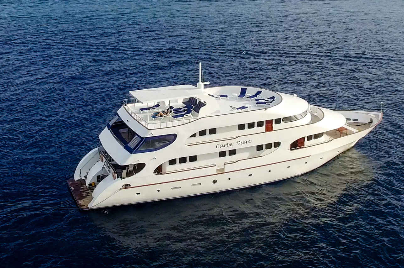 Carpe Diem Liveaboard