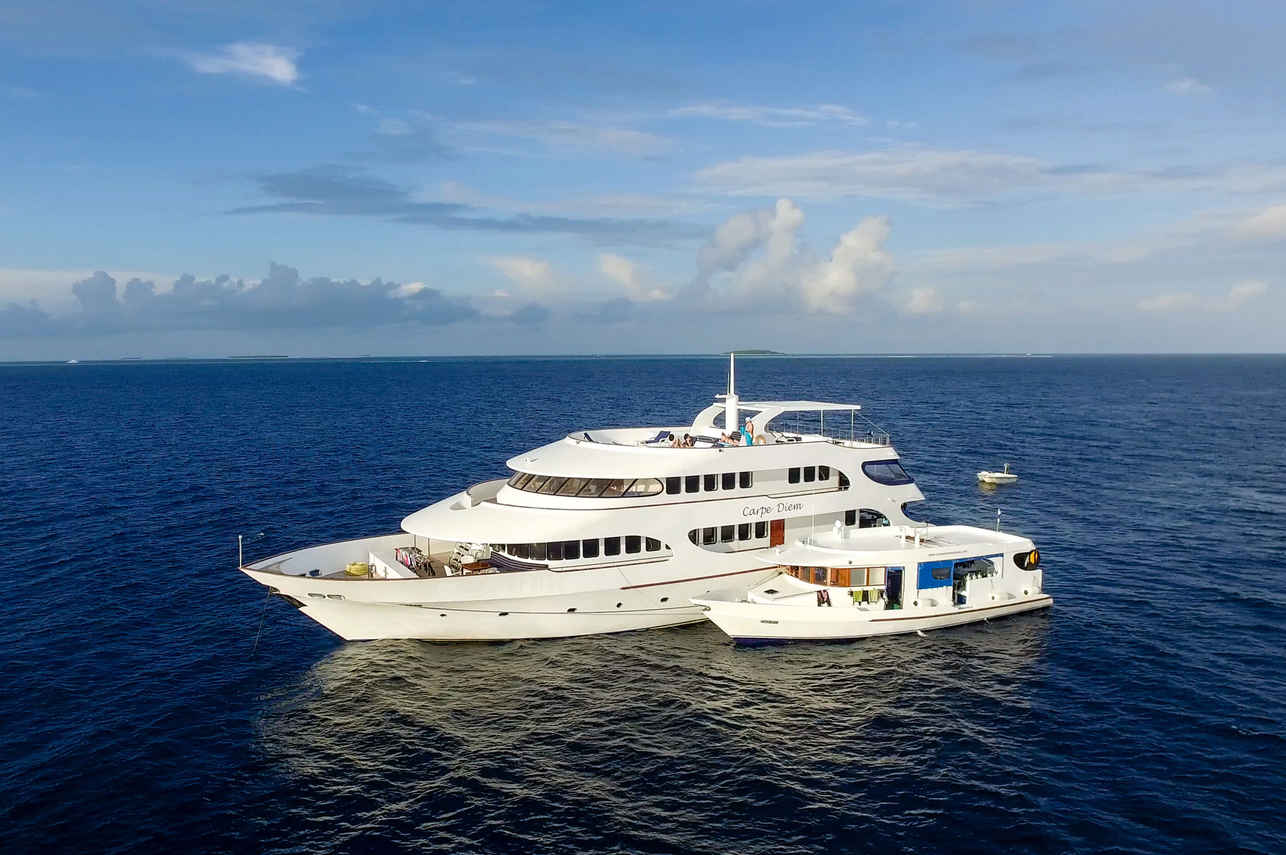 Carpe Diem Liveaboard