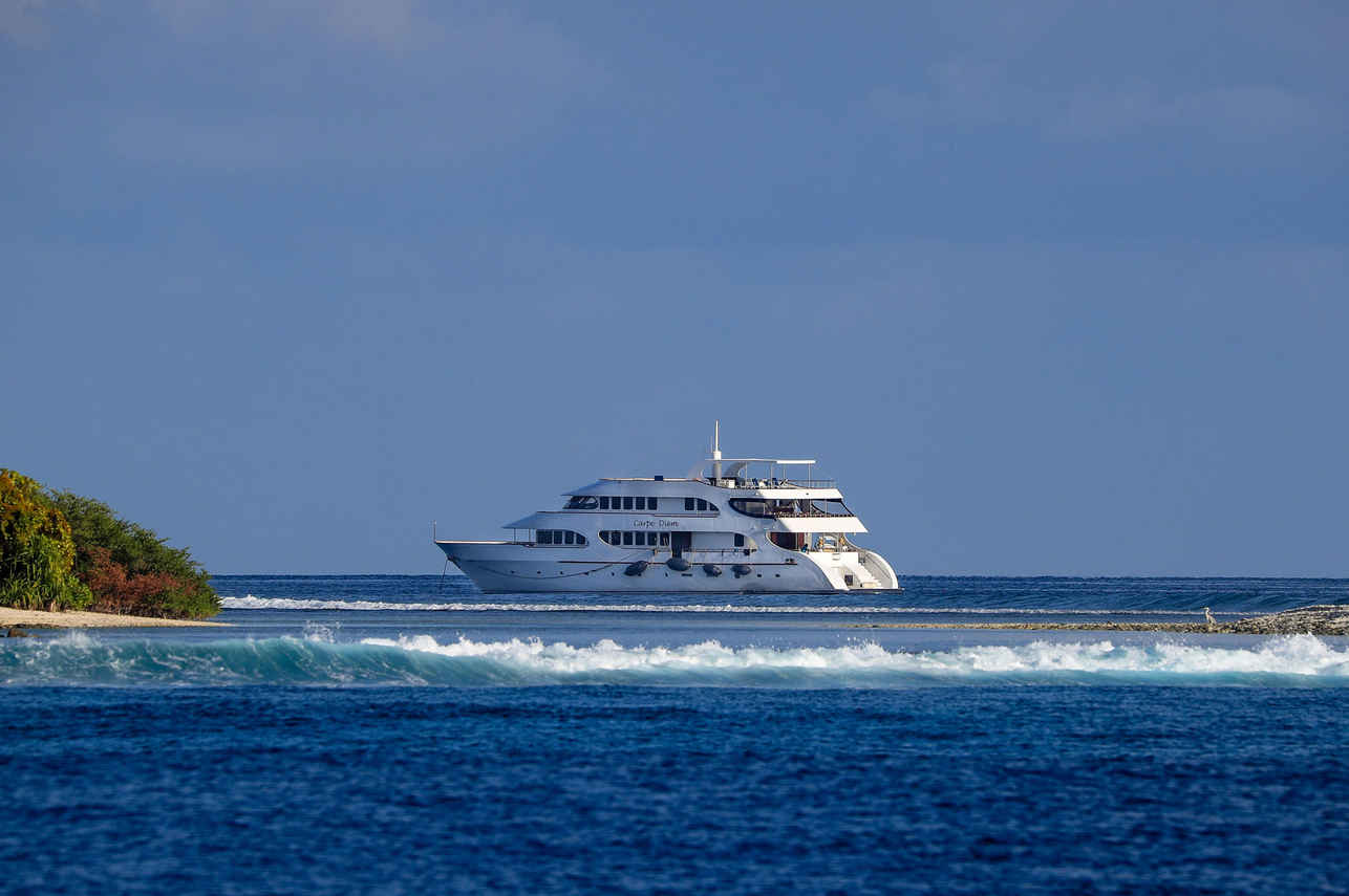 Carpe Diem Liveaboard