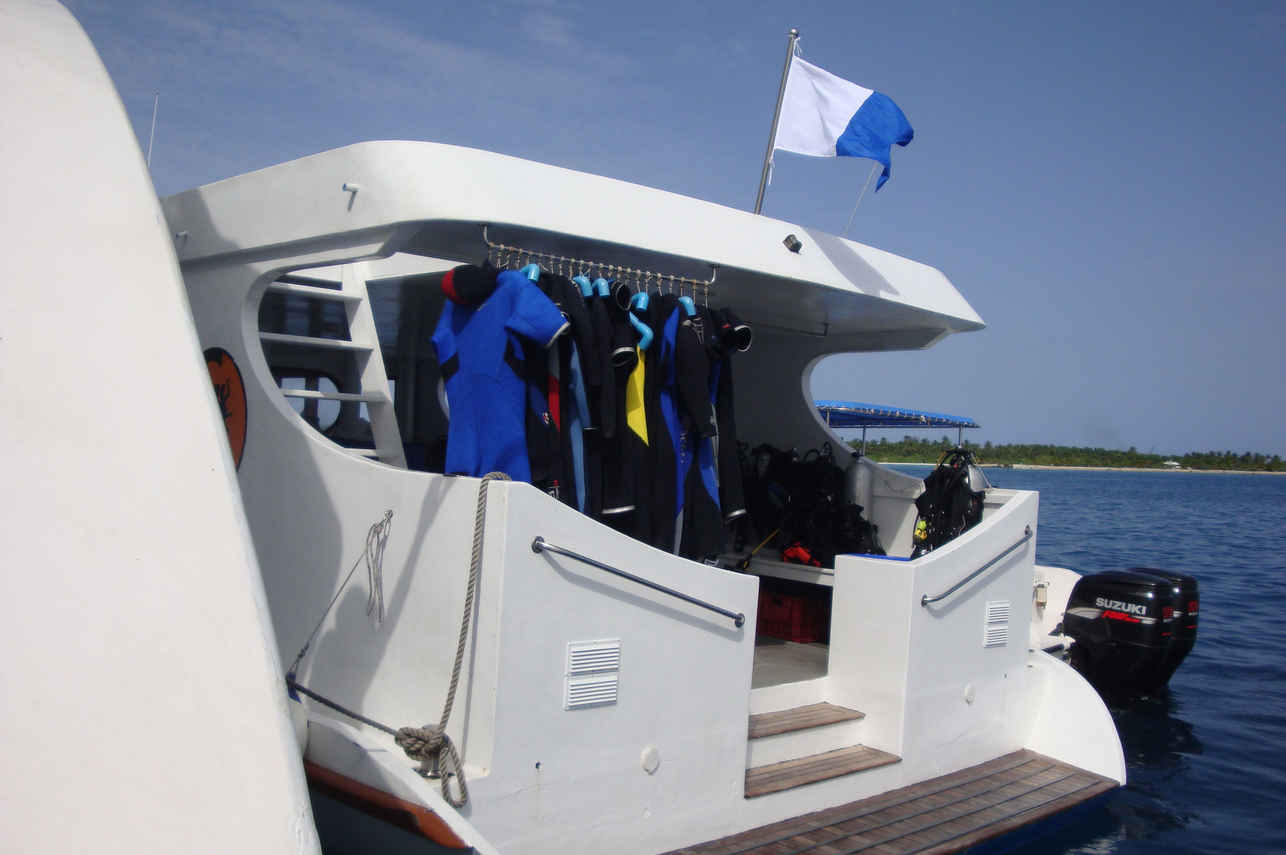 Carpe Diem Liveaboard