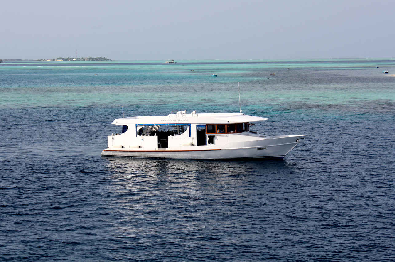 Carpe Diem Liveaboard