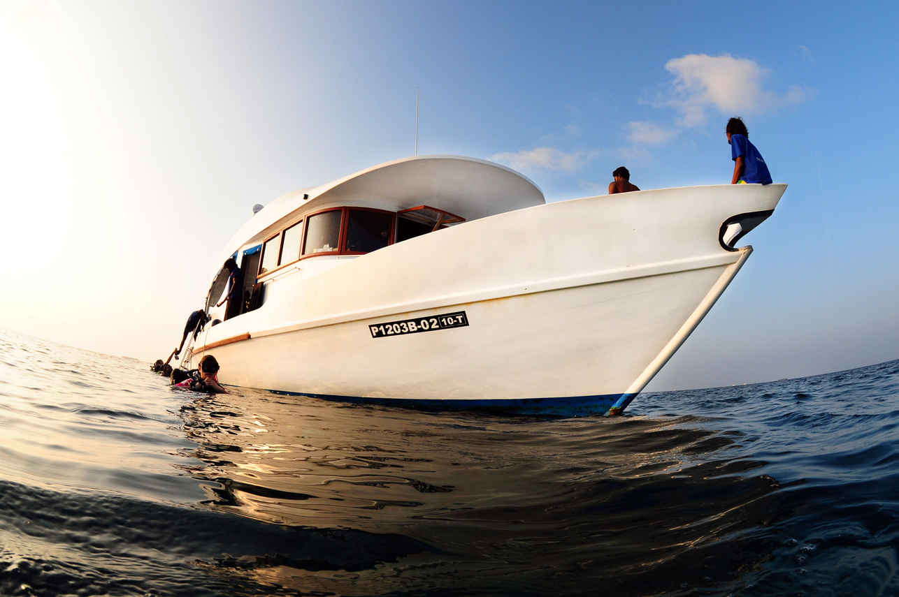 Carpe Diem Liveaboard