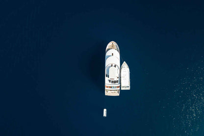 Carpe Vita