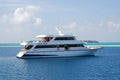 Conte Max Liveaboard