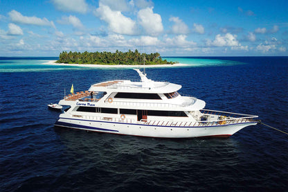 Conte Max Liveaboard
