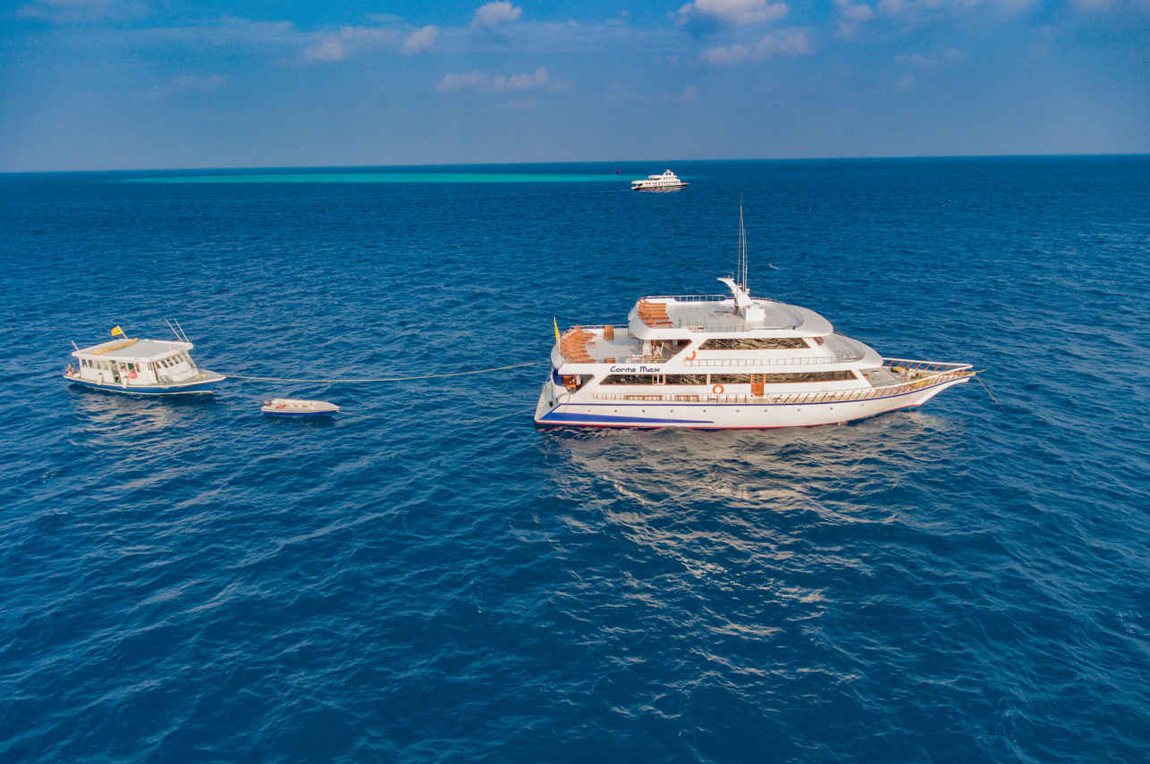 Conte Max Liveaboard