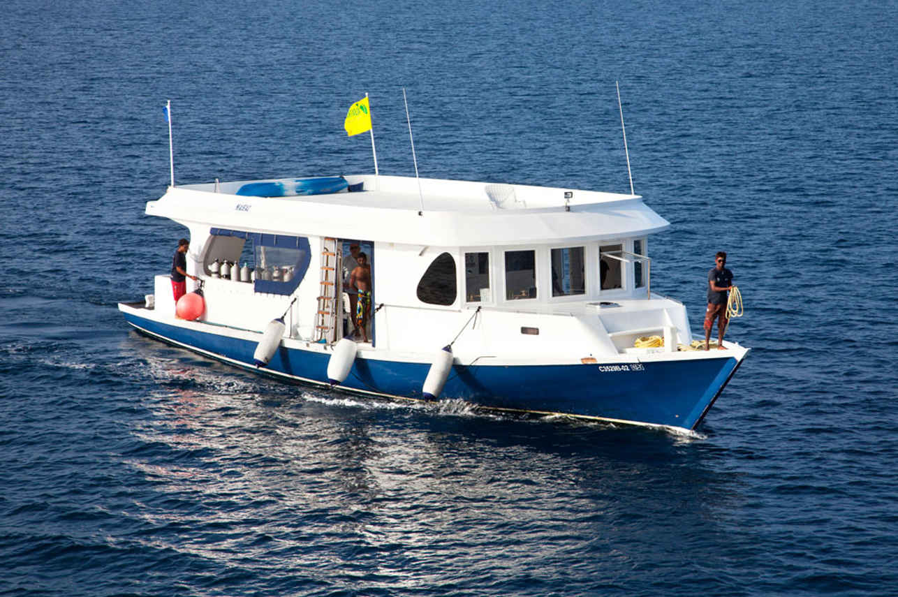Conte Max Liveaboard