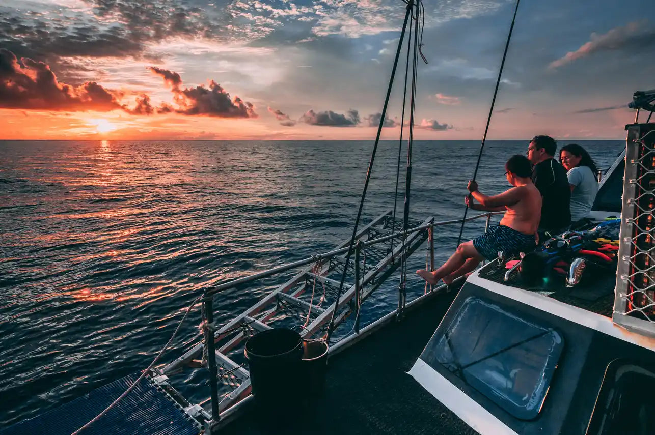 Coral Sea Dreaming