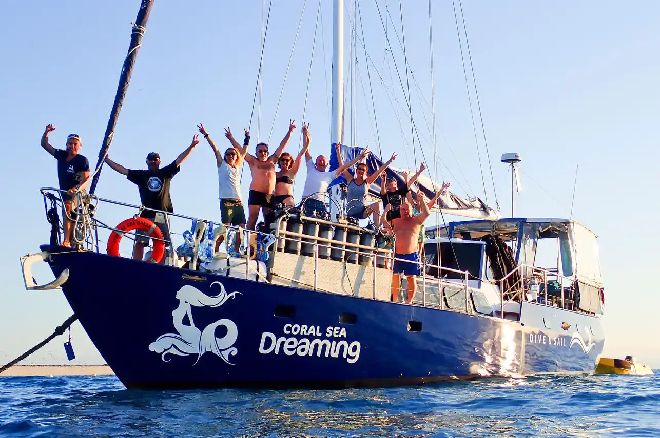 Coral Sea Dreaming Image