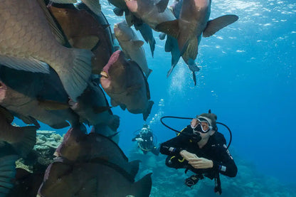 Coral Sea Dreaming