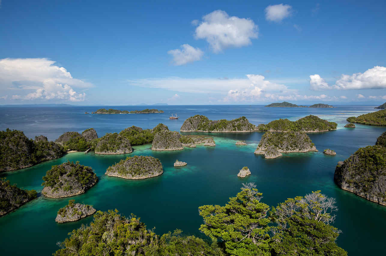 Coralia Liveaboard