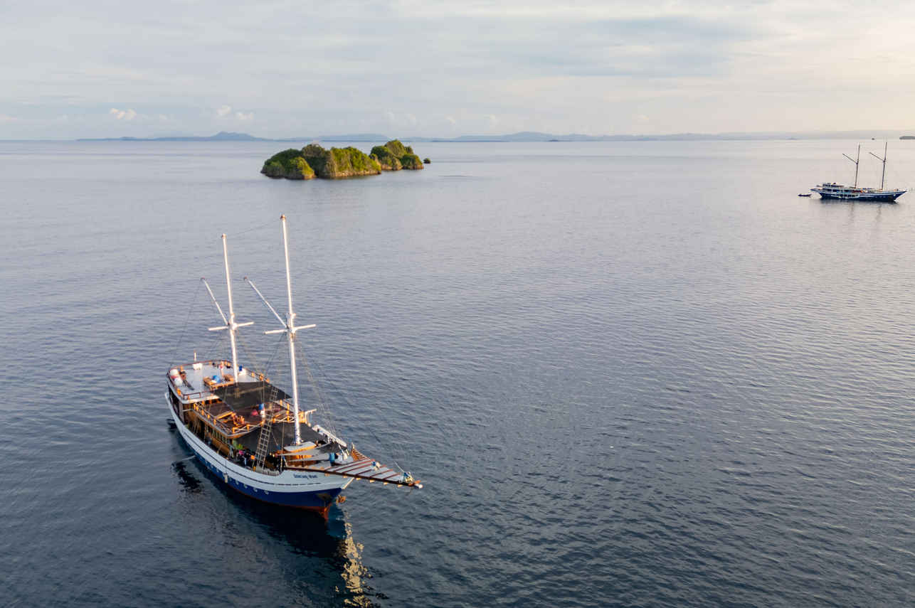 Dancing Wind Liveaboard