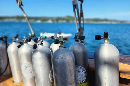 Dancing Wind Liveaboard