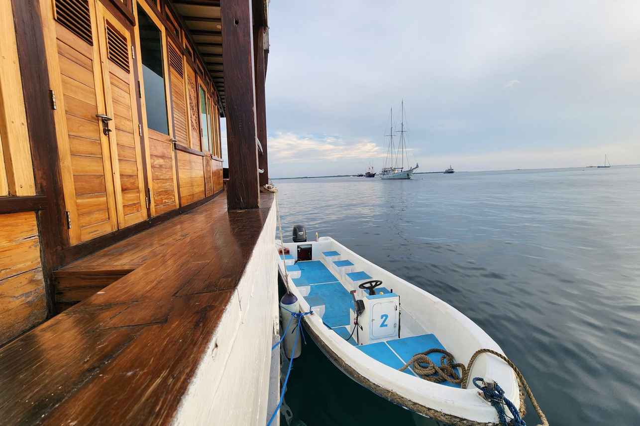 Dancing Wind Liveaboard