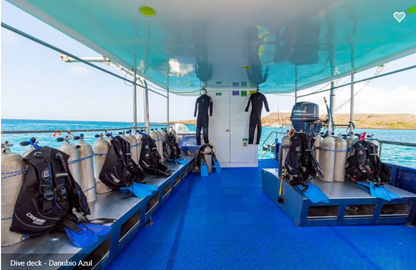Danubio Azul Liveaboard