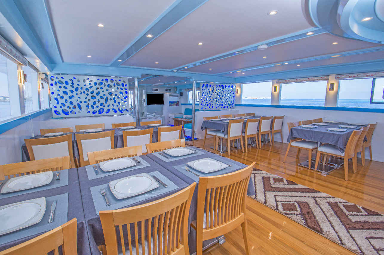 Dolce Vita Liveaboard