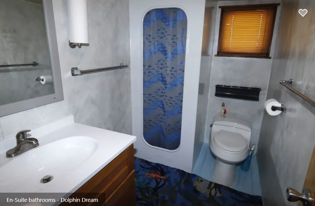 Dolphin Dream Liveaboard