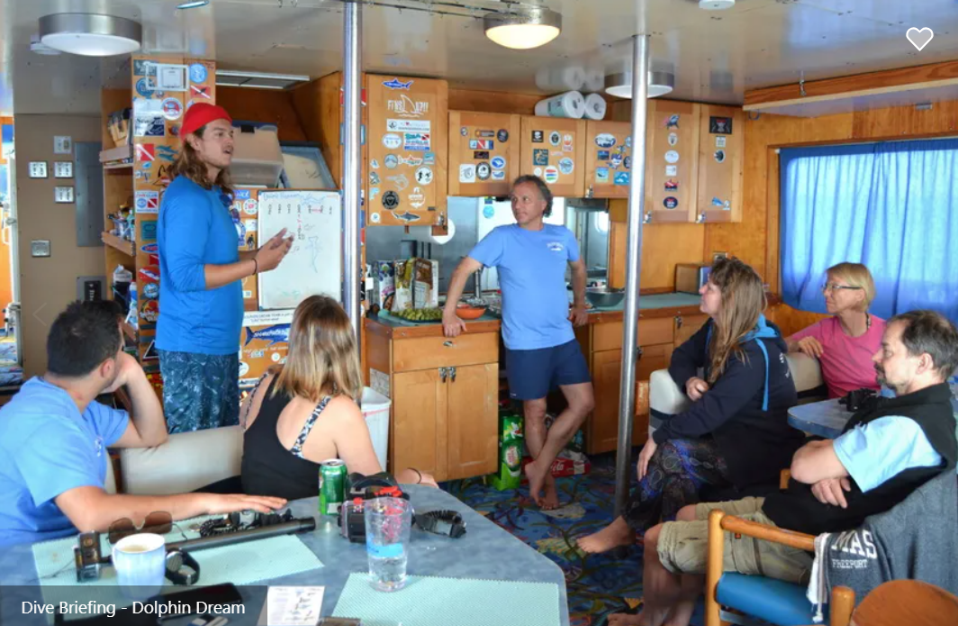 Dolphin Dream Liveaboard