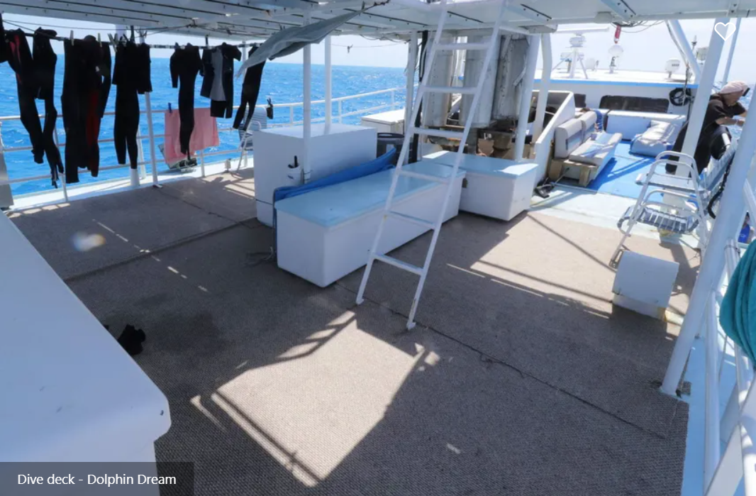 Dolphin Dream Liveaboard