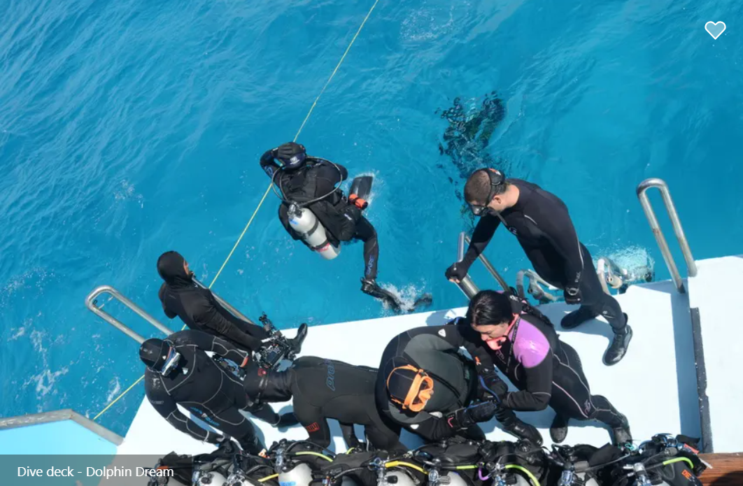 Dolphin Dream Liveaboard