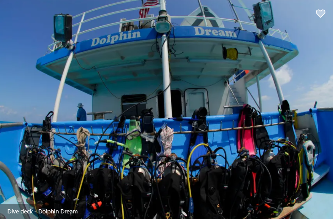 Dolphin Dream Liveaboard