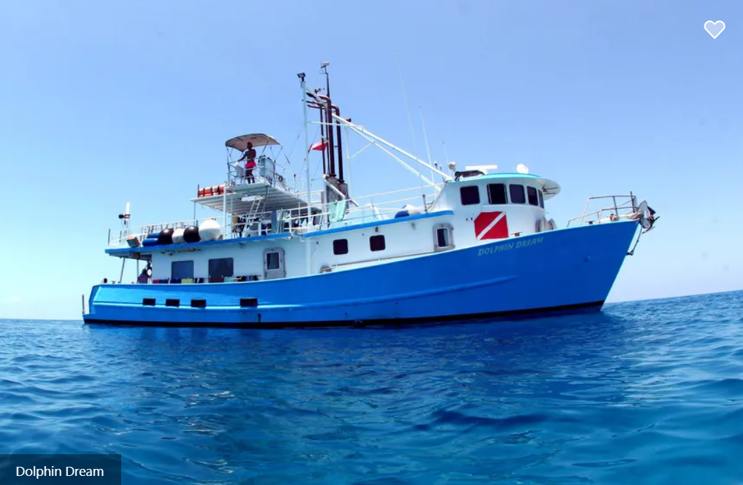 Dolphin Dream Liveaboard