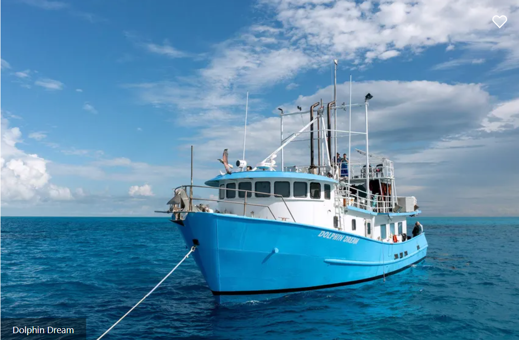 Dolphin Dream Liveaboard