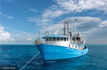 Dolphin Dream Liveaboard
