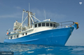 Dolphin Dream Liveaboard