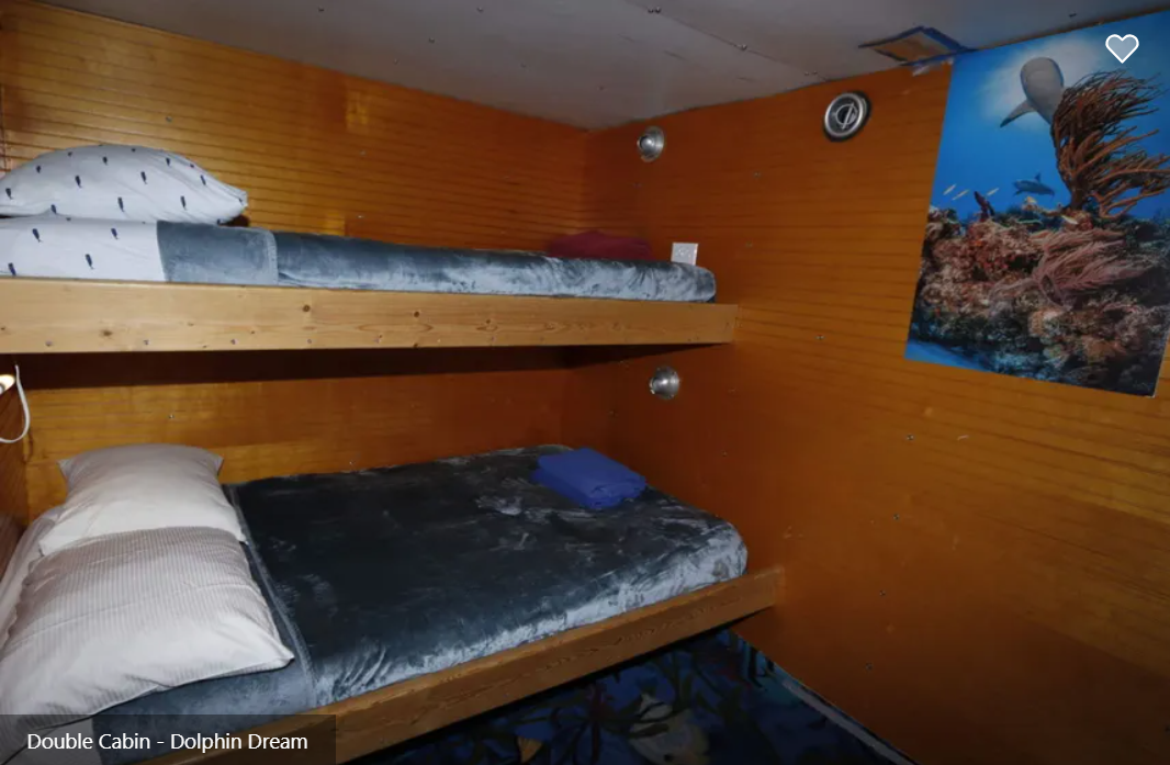 Dolphin Dream Liveaboard