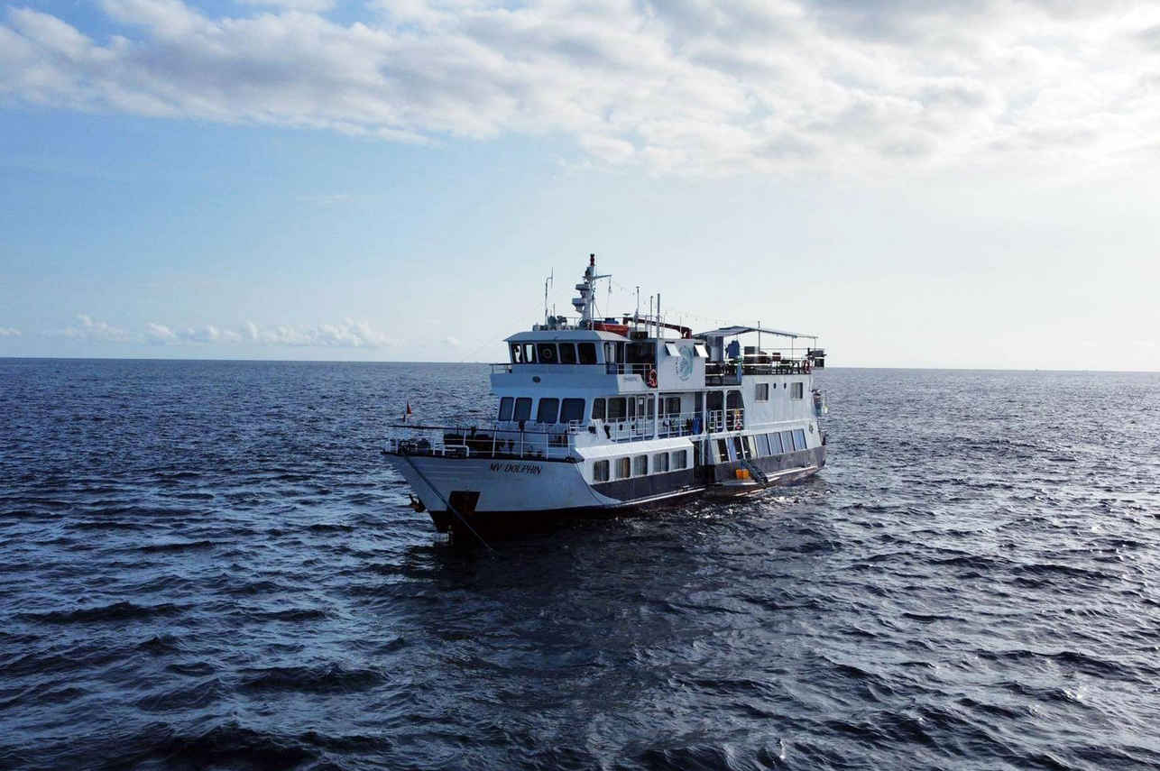 Dolphin Liveaboard