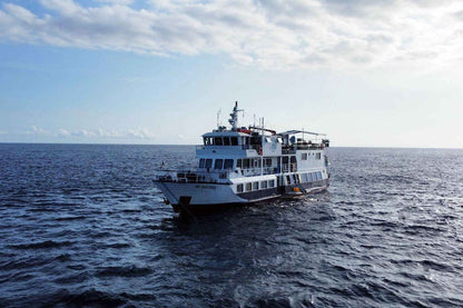 Dolphin Liveaboard