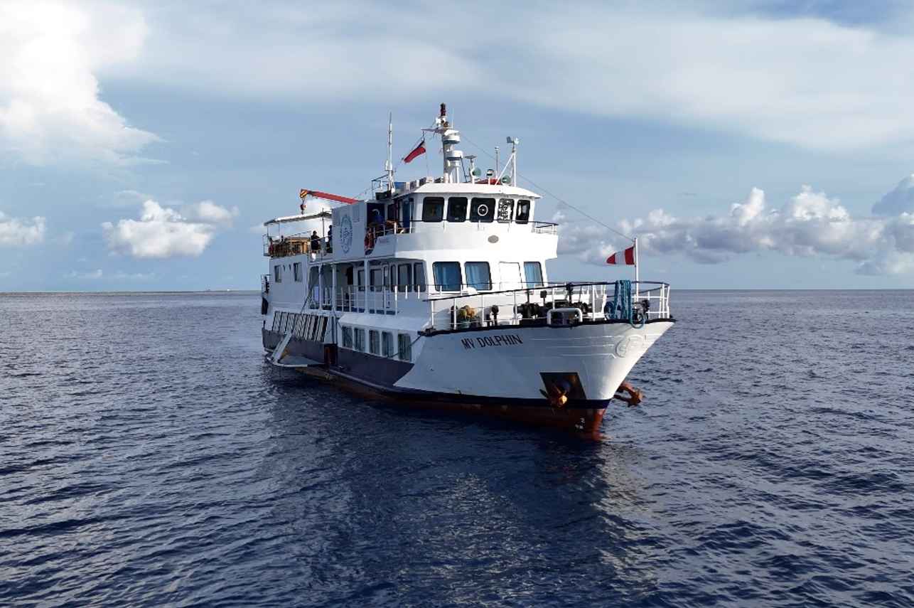 Dolphin Liveaboard