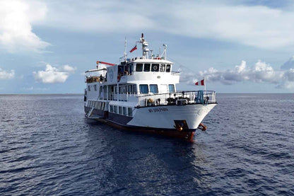 Dolphin Liveaboard