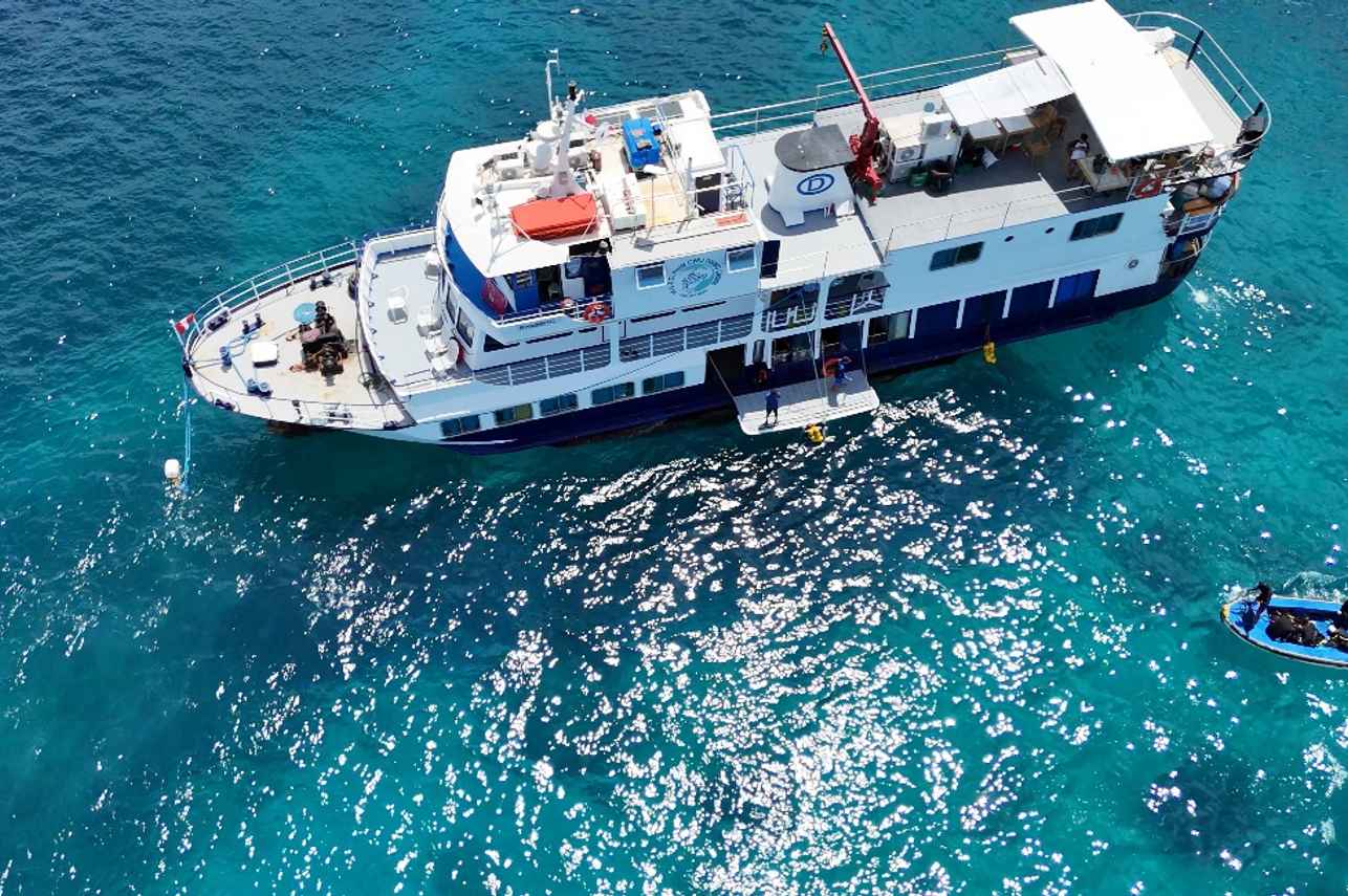 Dolphin Liveaboard