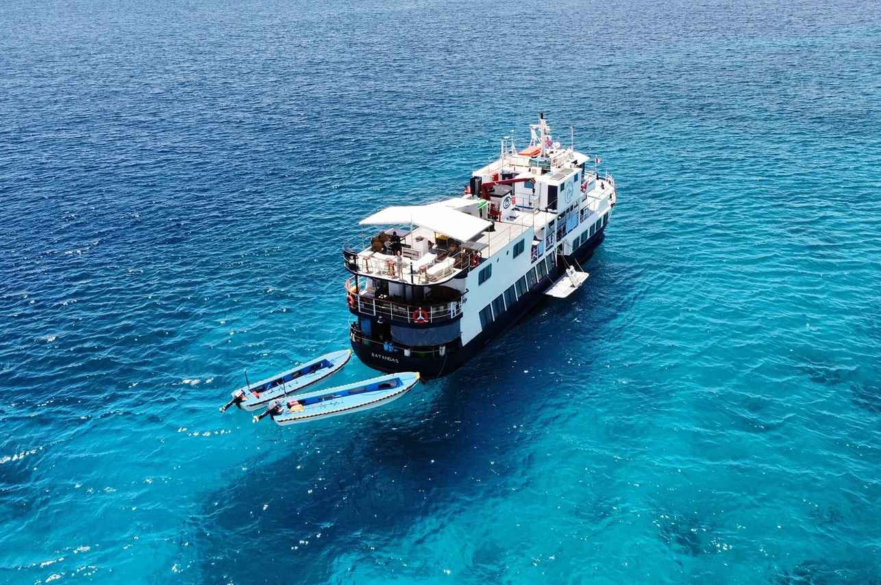 Dolphin Liveaboard