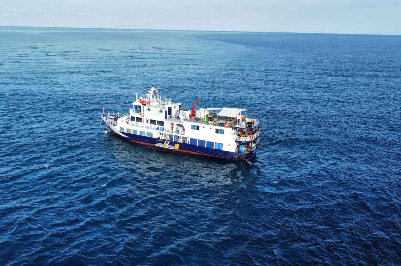Dolphin Liveaboard