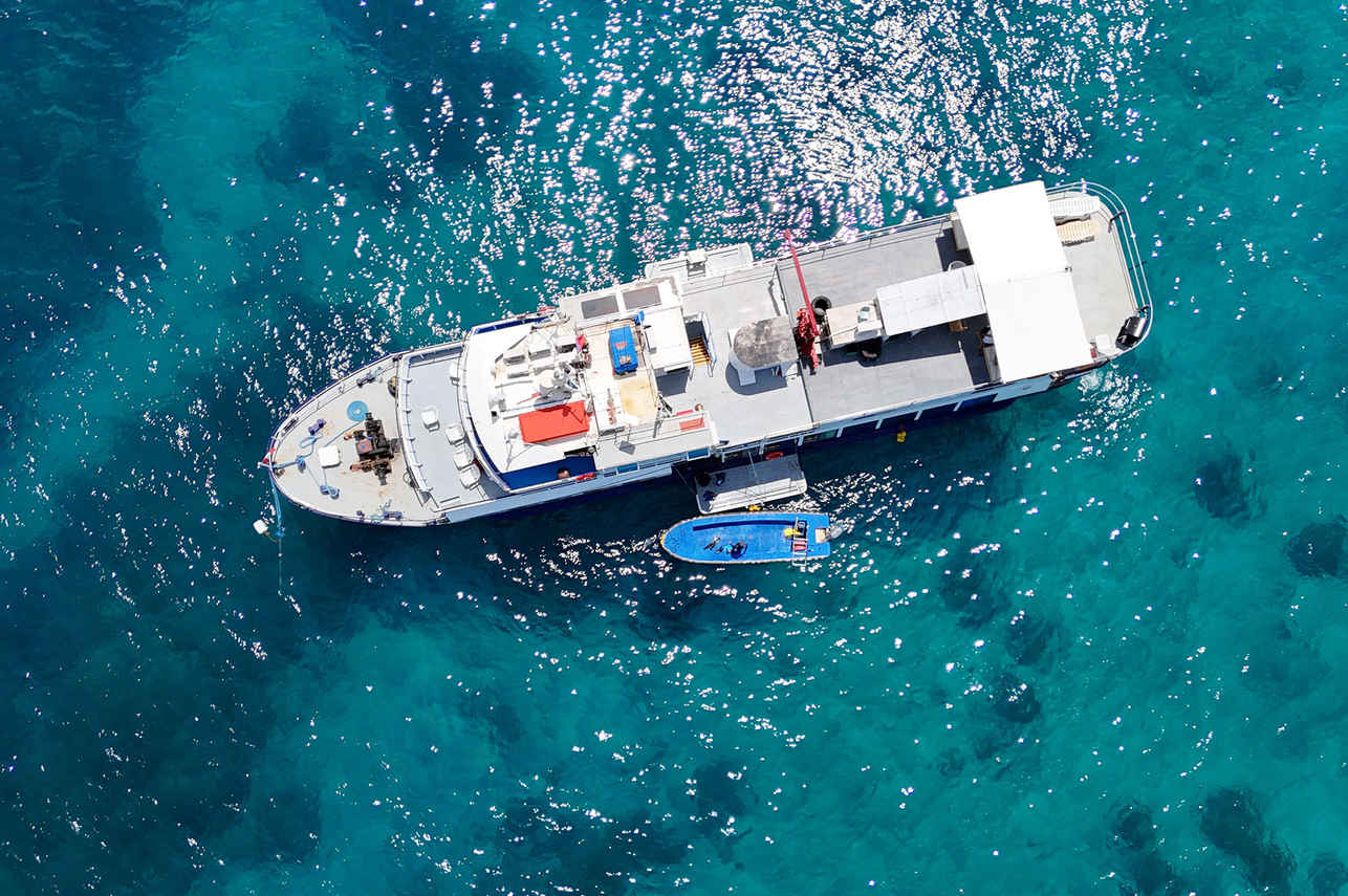 Dolphin Liveaboard