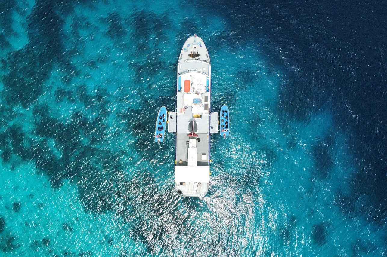 Dolphin Liveaboard