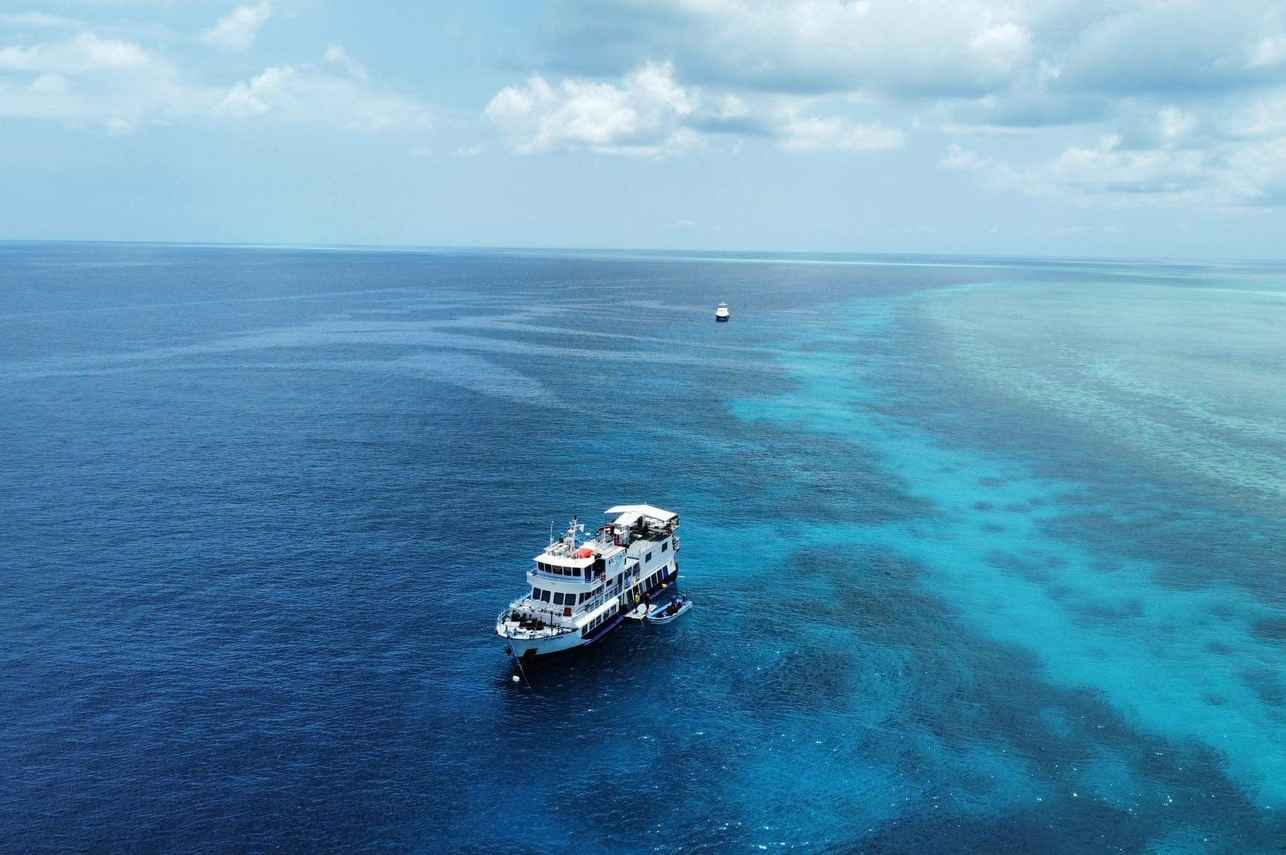Dolphin Liveaboard