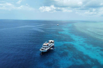 Dolphin Liveaboard