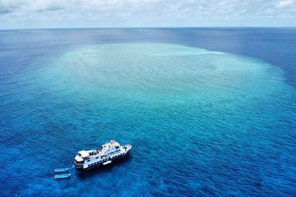 Dolphin Liveaboard