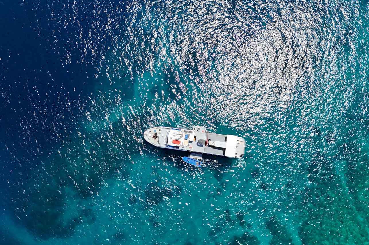 Dolphin Liveaboard