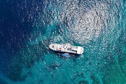 Dolphin Liveaboard