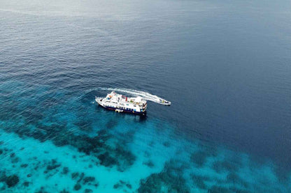 Dolphin Liveaboard