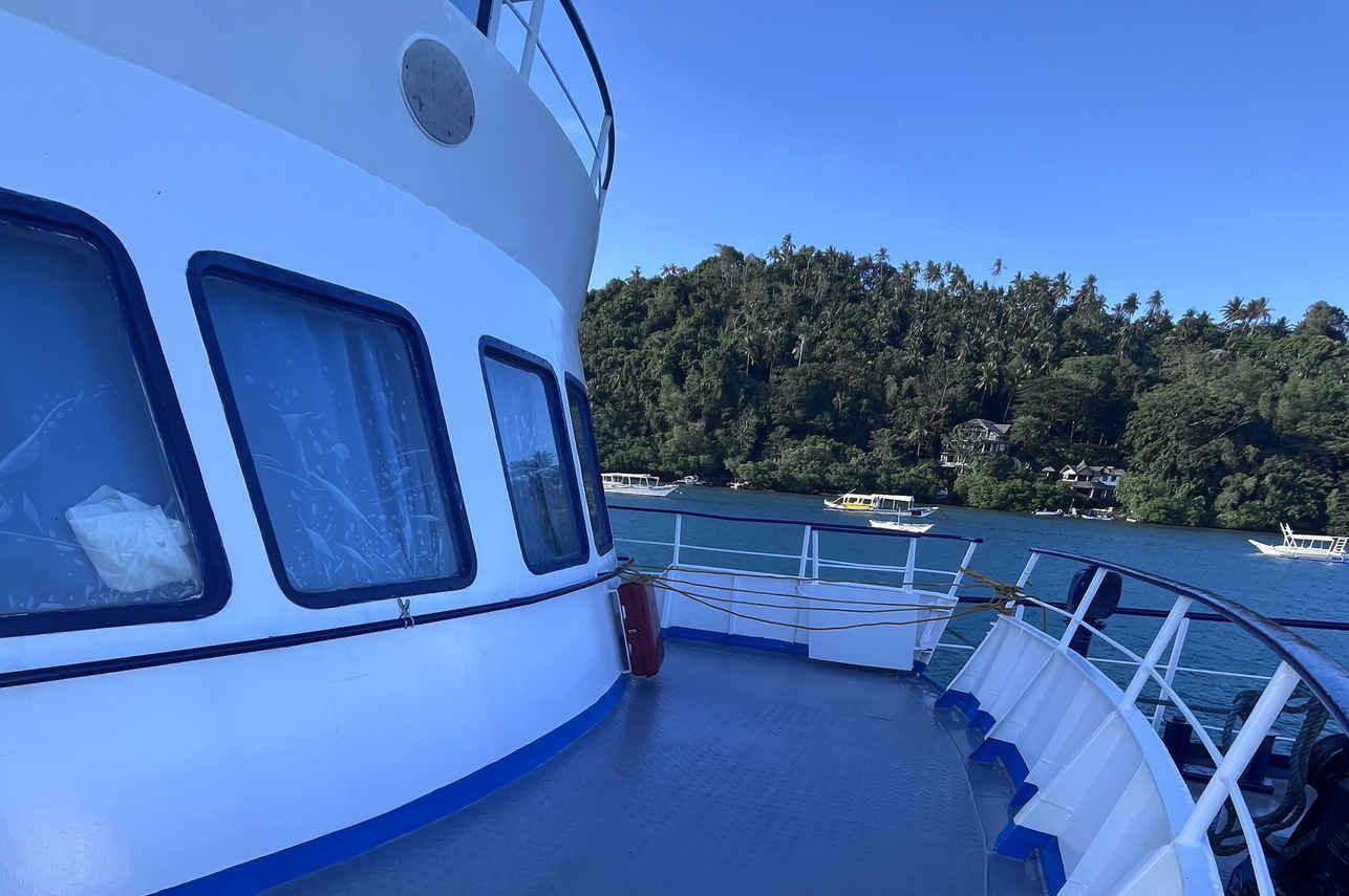 Dolphin Liveaboard