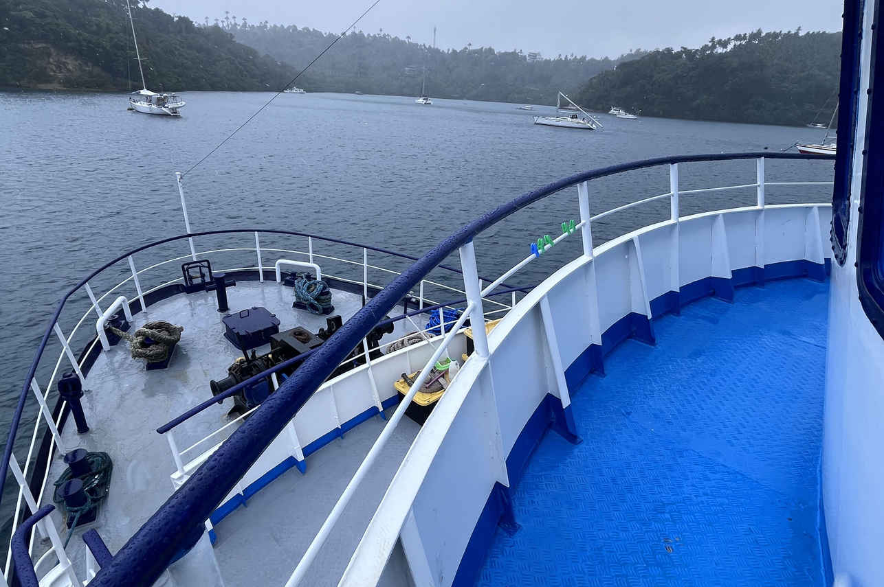 Dolphin Liveaboard