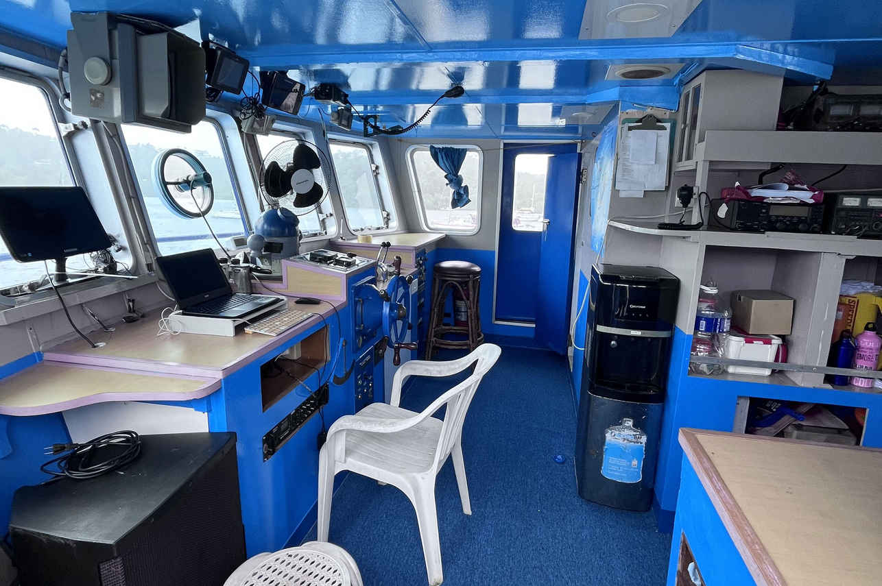 Dolphin Liveaboard