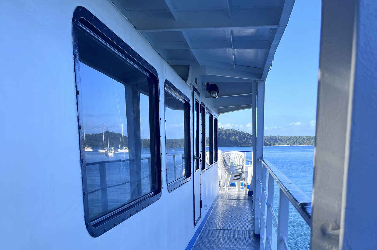 Dolphin Liveaboard