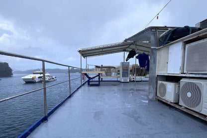 Dolphin Liveaboard
